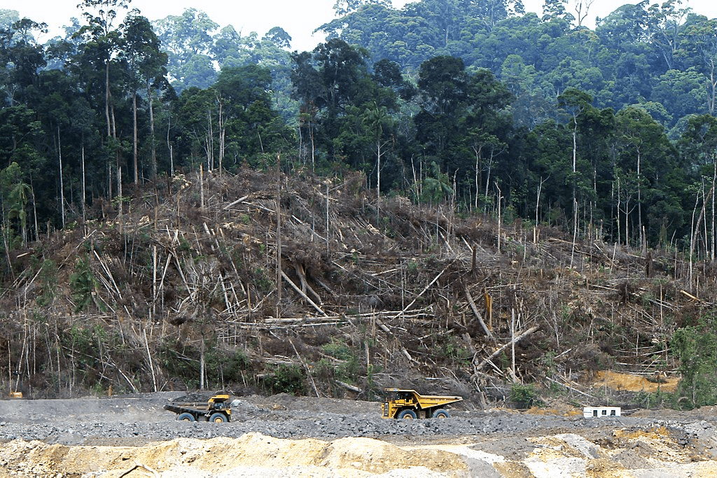 Deforestasi untuk membuka lahan tambang batu bara di Kalimantan Tengah. | Sumber foto: IndoMet in the Heart of Borneo/Wikimedia Commons