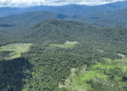 Karena Deforestasi, Harimau Masuk Desa Tiga Hari Berturut-turut