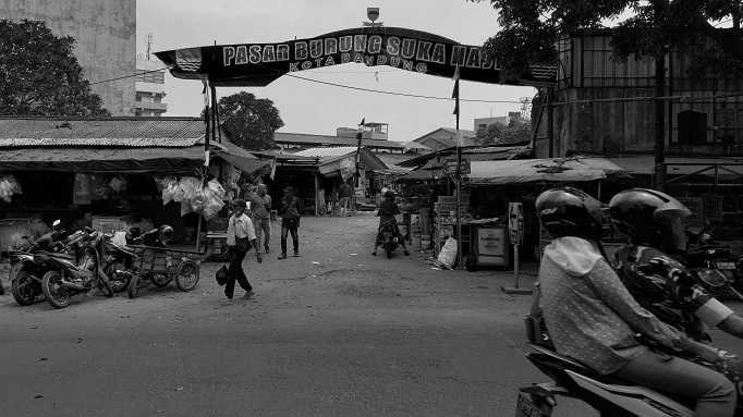 Gerbang Pasar Sukahaji, Kota Bandung, akhir Agustus 2022 lalu. Di pasar ini, beragam jenis satwa dilindungi bebas diperdagangkan. | Foto: Virliya Putricantika/BandungBergerakid