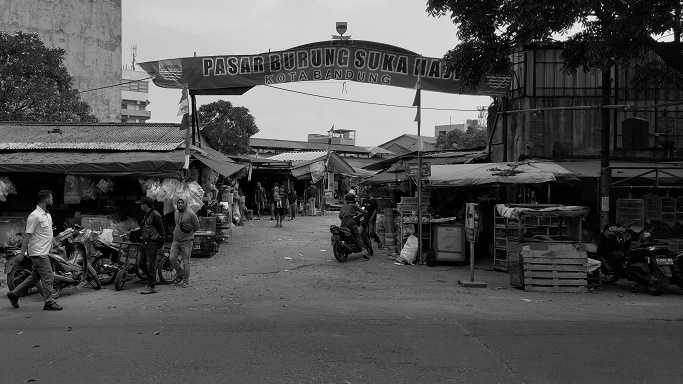 Suasana Pasar Sukahaji yang dikenal pasar burung di Jalan Peta, Bandung, Selasa (30/8/2022). | Foto: Virliya Putricantika/BandungBergerakid