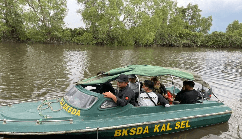 Tim gabungan yang terdiri dari BKSDA Kalimantan Selatan, Tim Yayasan Sahabat Bekantan Indonesia, dan masyarakat melakukan patroli menggunakan speedboat. Kegiatan berlangsung di kawasan habitat bekantan. | Foto: Firman/Antara 