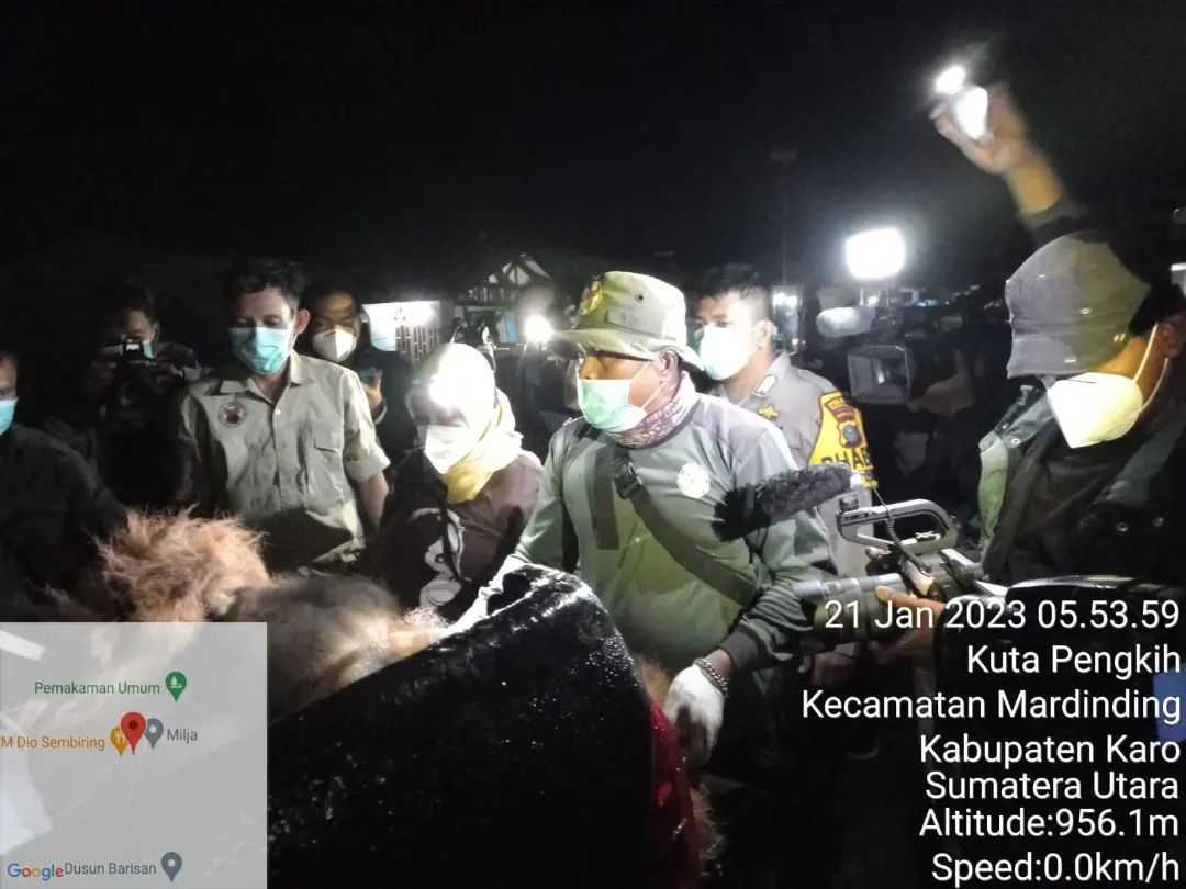 Proses evakuasi orangutan di Kecamatan Mardinding, Kabupaten Karo. | Foto: Dok. Polres Tanah Karo