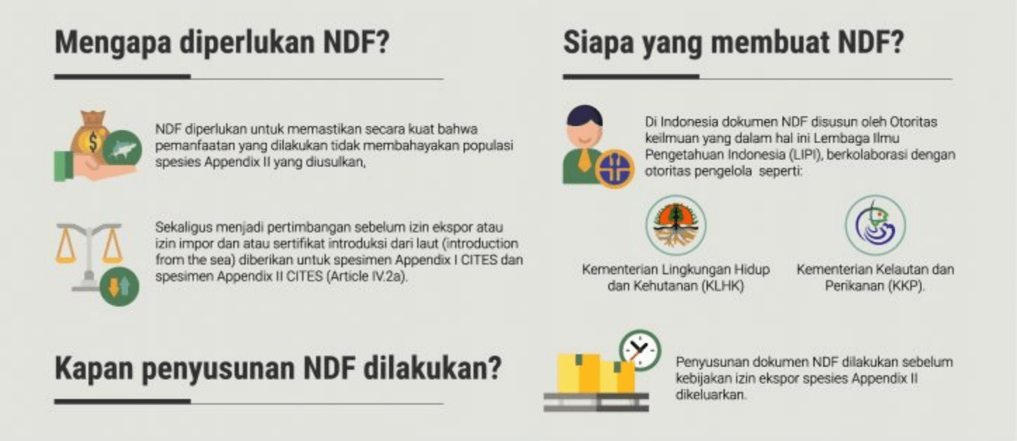 Keterangan mengenai NDF dari dokumen penjelasan dari Balai Kliring Keanekaragaman Hayati Indonesia (BKKHI). | Sumber: Laman BKKHI