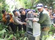 BBKSDA Papua Lepasliarkan 19 Satwa di Pegunungan Cycloop