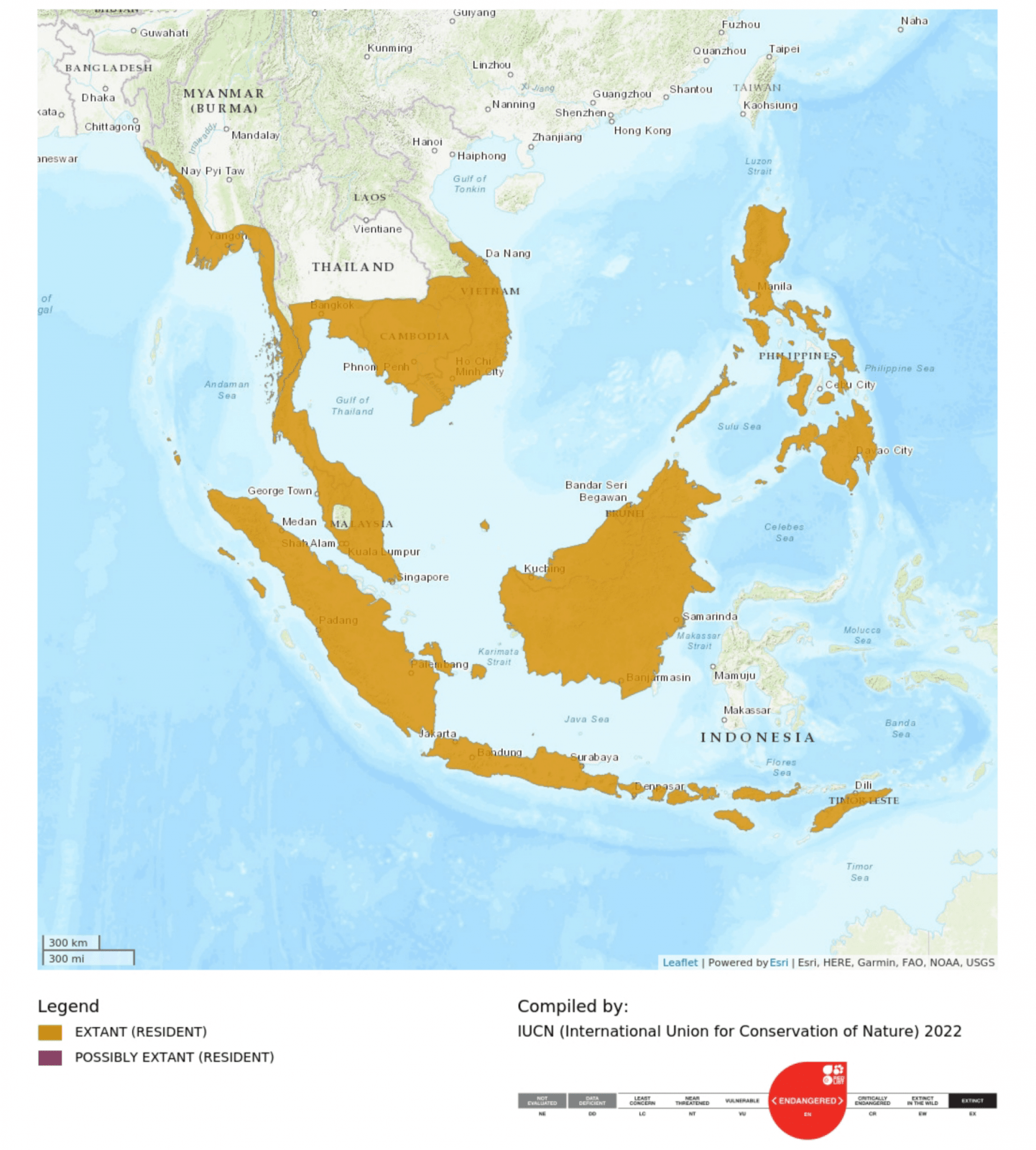 Peta persebaran monyet ekor panjang (Macaca fascicularis) di Asia Tenggara. Di Indonesia, monyet bisa ditemukan di Sumatera, Kalimantan, Jawa, hingga Nusa Tenggara. | Sumber: IUCN