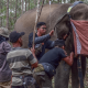 Tim BBKSDA Riau bersama pihak terkait lainnya saat melakukan pemasangan GPS Collar ke salah satu gajah liar. | Foto: Dok BBKSDA Riau/KSDAE KLHK
