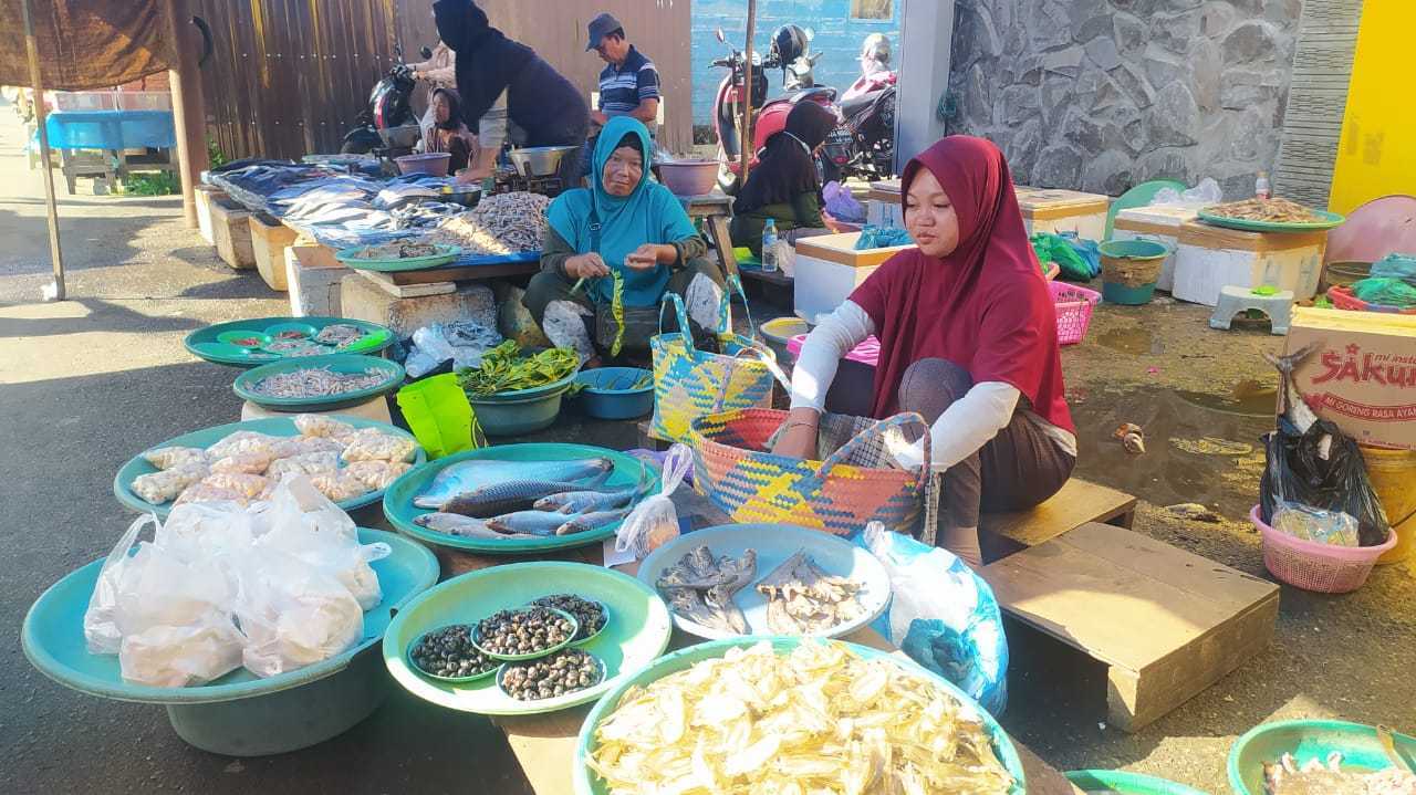 Tiara, penjual ikan hasil tangkapan alam di Pasar Wangkang Marabahan, salah satu yang dijual adalah ikan belida atau pipih. | Foto: rdy