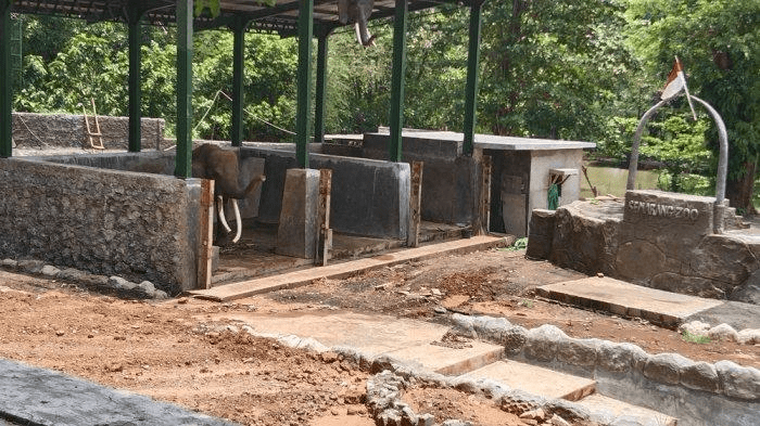 Kandang gajah di Taman Satwa Semarang. Sebelumnya, gajah Sekar berada di kandang tersebut sampai akhirnya kesehatannya terganggu dan dipindahkan. | Foto: Rahdyan Trijoko Pamungkas/Tribunmuria