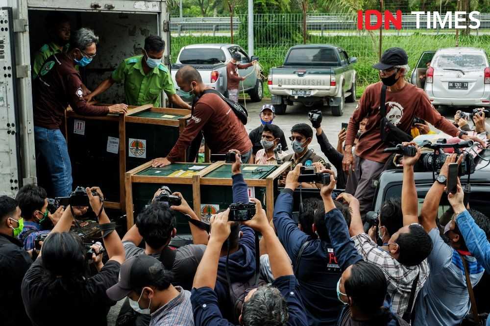 Petugas memindahkan kandang kargo yang berisi orangutan Sumatra hasil repatriasi dari Malaysia ke Indonesia. Mereka adalah korban dari perdagangan satwa liar ilegal. | Foto: Dok. IDN Times