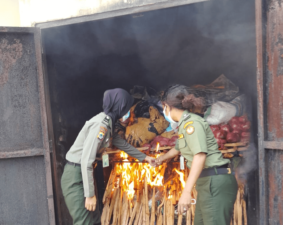 Proses pemusnahan barang bukti berupa tiga ratus kilogram daging rusa timor dengan cara dibakar. | Foto: Dok. BBKSDA Papua Barat