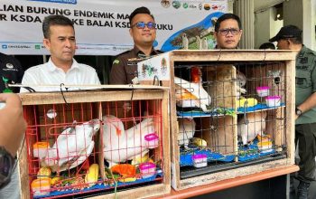 BBKSDA Riau dan pihak terkait saat serah terima burung kakatua untuk dikembalikan ke habitat aslinya di Maluku. | Foto : Riau Tribune
