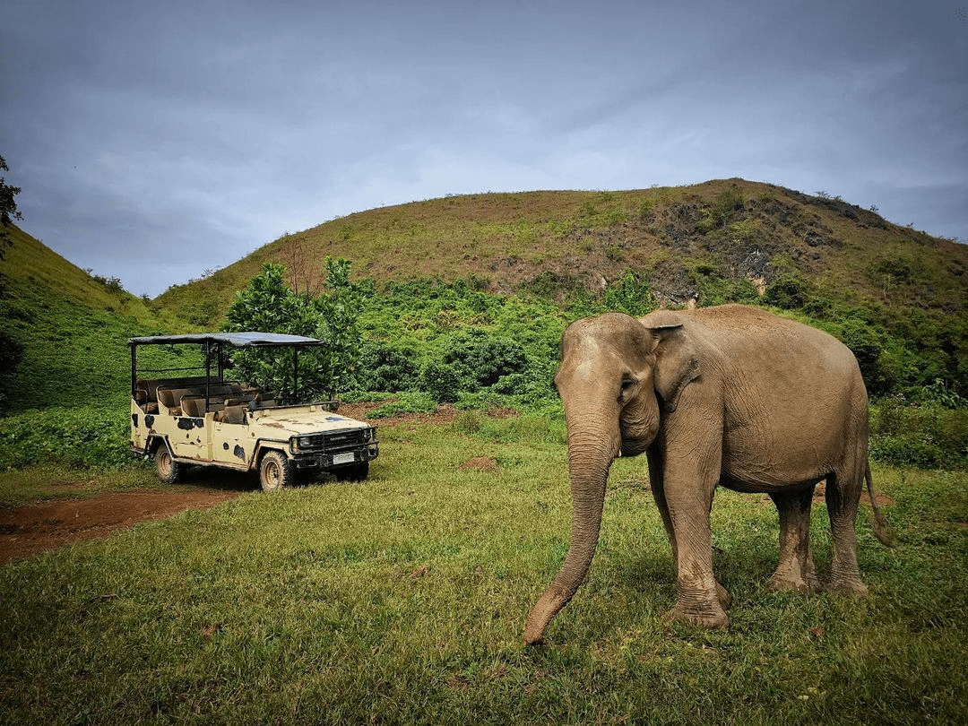 Gajah di Barumun Nagari Wildlife Sanctuary, Kabupaten Padang Lawas Utara, Sumatra Utara. | Foto: BNWS/Instagram 