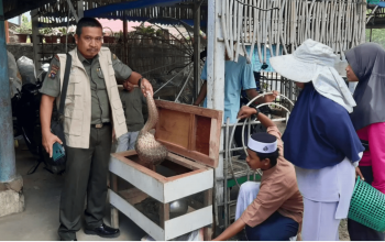 Penyerahan trenggiling oleh warga. | Foto: Tangkapan layar video BKSDA Sumatera Barat