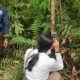 Tim lakukan pemasangan camera trap sebagai upaya mitigasi konflik manusia dan satwa liar di Rempak Siak yang terjadi pada April. | Foto: Riau Aktual