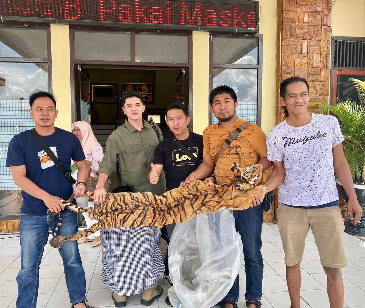 Tim Satreskrim Polres Kerinci tunjukkan kulit harimau yang akan diperdagangkan YP (39). | Foto: Dok. Polres Kerinci
