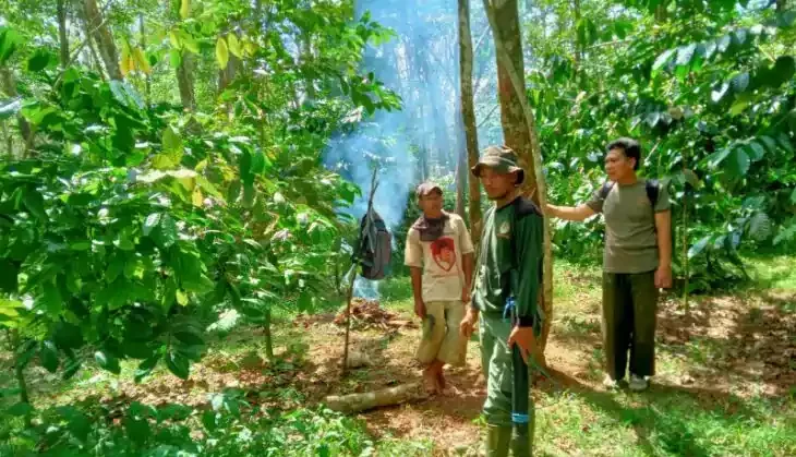 Tim BKSDA Bengkulu datangi lokasi ternak yang diduga dimakan harimau sumatera. | Foto: Anggi Mayasari/Antara