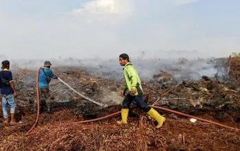 Upaya tim dalam mengatasi karhuta di Nagan Raya, Sabtu (24/6/2023). | Foto: Dok. BPBD