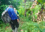 Harimau Sumatera Diduga Belajar Berburu
