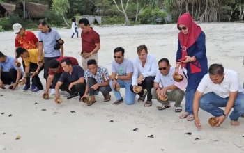 Ratusan anak penyu dilepas di Kirana Bay Pantai Lawar. | Foto: Dok. Pemerintah Kabupaten Sumbawa Barat
