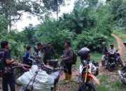 BKSDA Halau Harimau Sumatera dengan Petasan