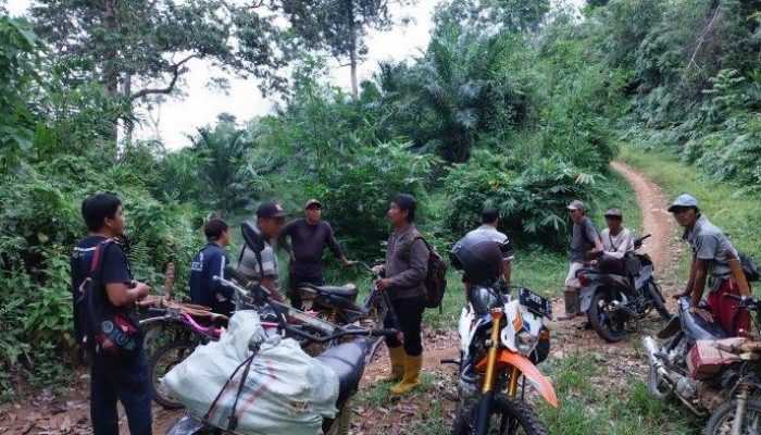 BKSDA Halau Harimau Sumatera dengan Petasan