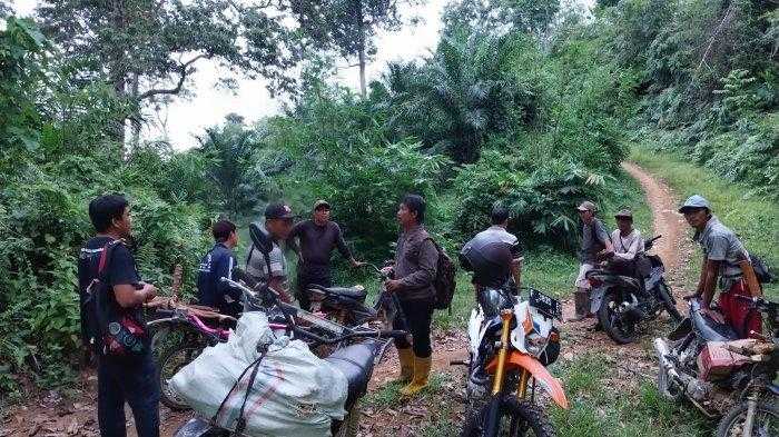 Petugas BKSDA Bengkulu lakukan penghalauan harimau sumatera. | Foto: Ahmad Sendy Kurniawan/TribunBengkulu