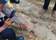 Konflik Warga dan Harimau Kembali Terjadi di Aceh Timur