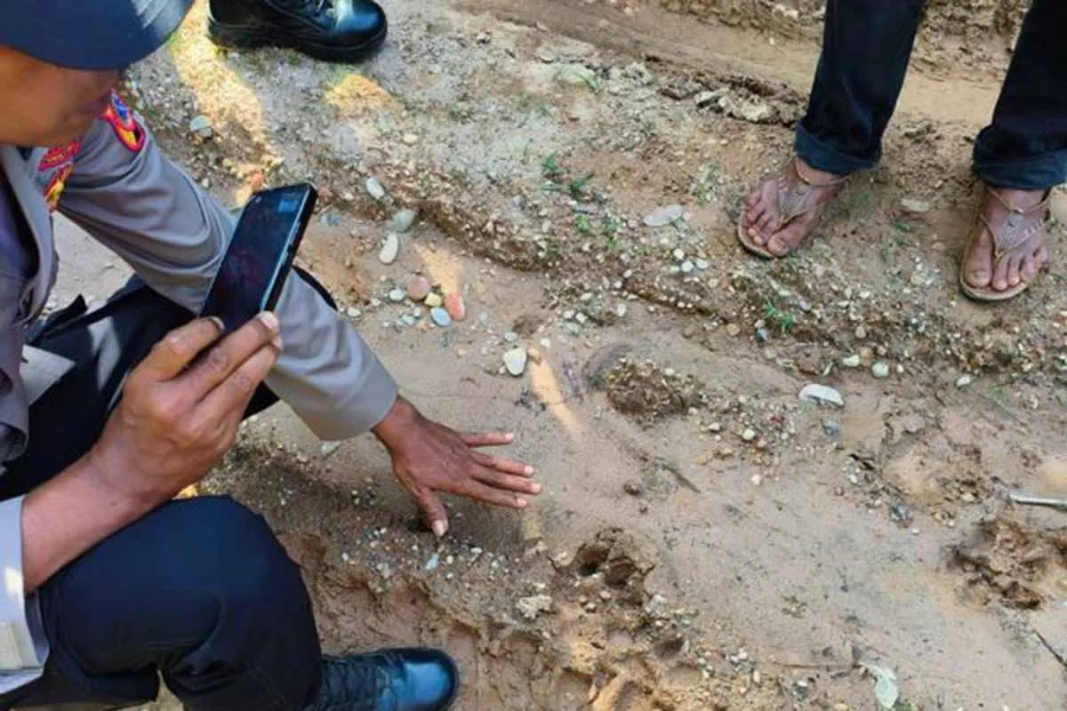 Diduga jejak kaki harimau yang ditemukan di Jalan Gampong Panton Rayeuk T, Kecamatan Banda alam, Kabupaten Aceh Timur. | Foto: Antara/HO-Dok. Warga