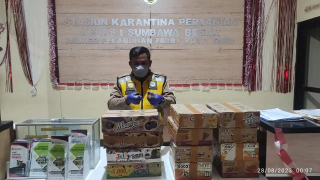 Petugas tengah melakukan pemeriksaan terhadap boks penyimpanan satwa termasuk julang sulawesi. | Foto: Istimewa/Radar Surabaya