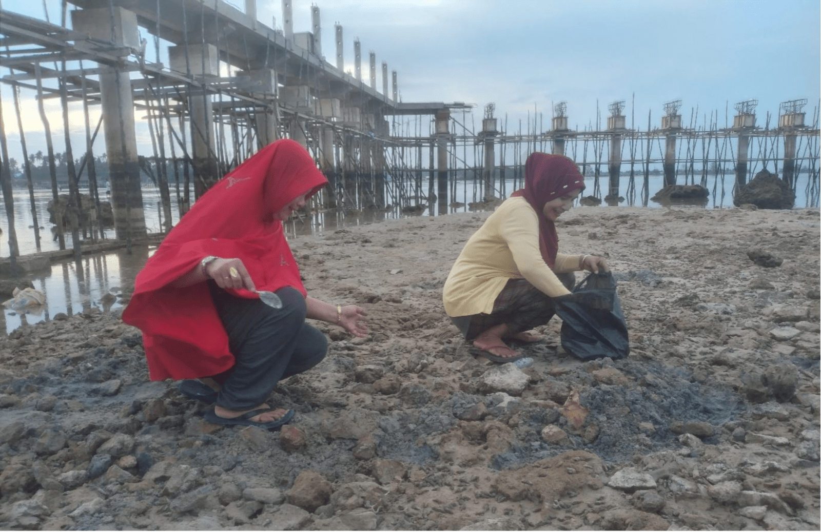 Warga Pantai Melayu, Batu Besar, Kota Batam sedang mencari kerang-kerang di pantai. | Foto: Rianda Akbari