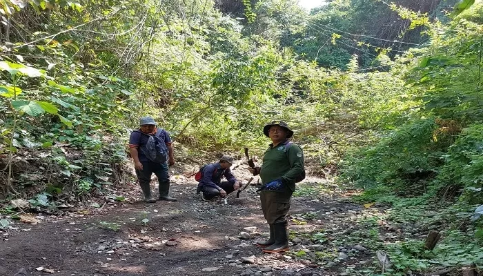 Masif Patroli Hutan, Petugas Temukan Jerat Satwa