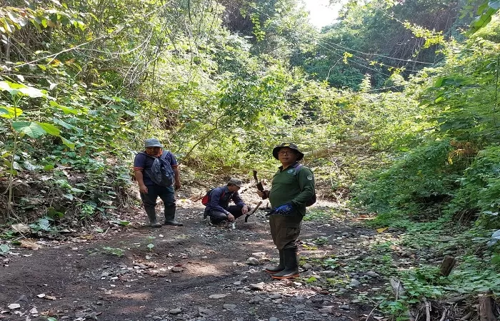 Massive forest patrol, officers find animal traps