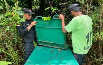 Upaya pemasangan perangkap beruang madu di Desa Bagendang Hulu, Kecamatan Bagendang, Kabupaten Kotawaringin Timur oleh petugas BKSDA. | Sumber: Klik Kalteng