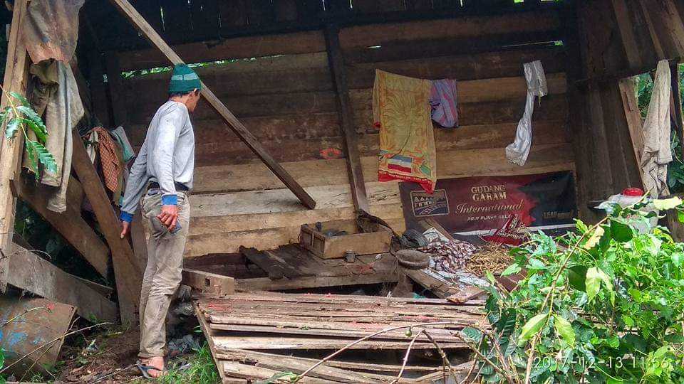 Sejumlah rumah warga porak poranda akibat serangan dari kawanan gajah liar di Kabupaten Aceh Tengah dan Kabupaten Bener Meriah. | Sumber foto: TPFF