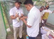 Hasil Pengamanan TSL, BKSDA Maluku Terima 29 Burung Endemik