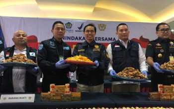 Barang bukti 53 kilogram sisik trenggiling yang disita oleh pihak Bea Cukai Bandara Soekarno-Hatta. | Foto: Dokumen Bea Cukai Soekarno-Hattta/Detik News