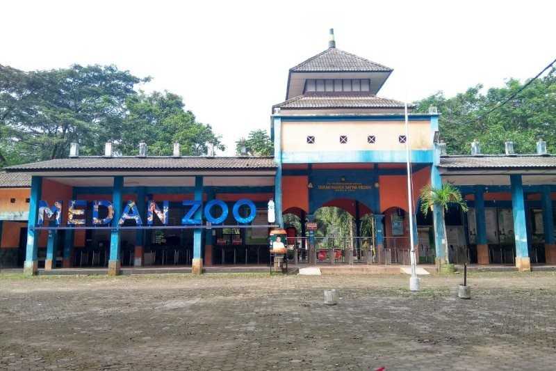 Gerbang depan Medan Zoo setelah pindah ke Simalingkar B. Foto: ANTARA/Nur Aprilliana Br Sitorus