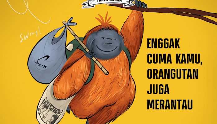 FATWA: Orangutan Juga Merantau