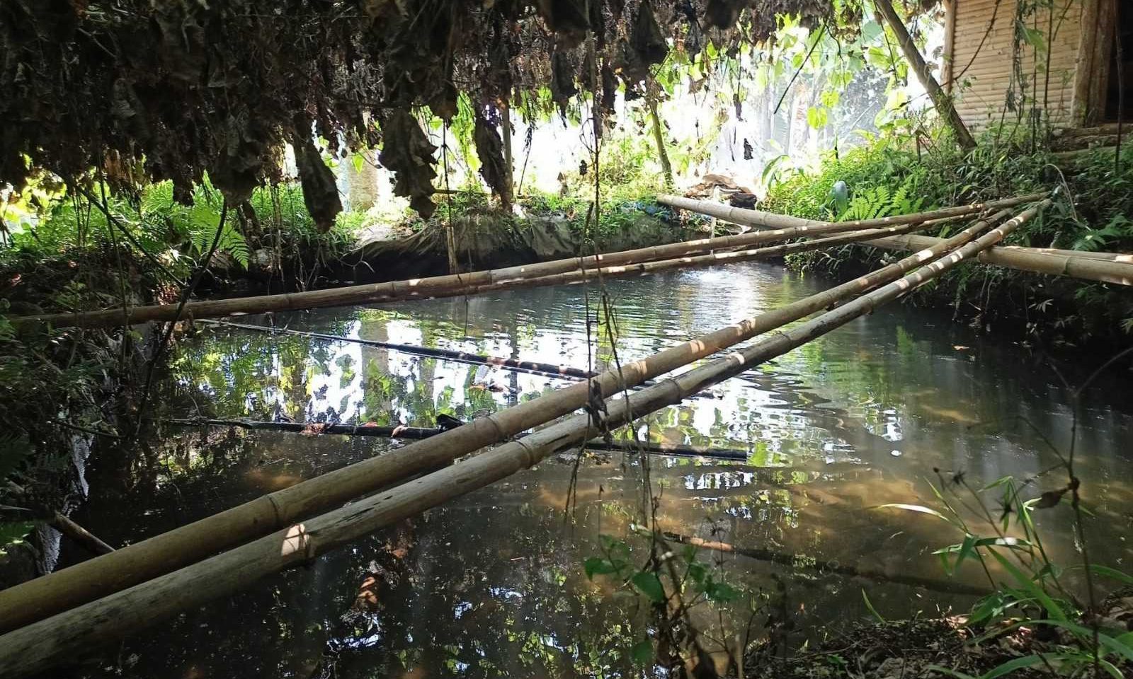 Kolam yang berfungsi sebagai sumber air dari waterline untuk mengairi kebun-kebun warga. | Foto: Miriam/Garda Animalia 