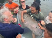 Tim gabungan melakukan pemeriksaan Dugong dugon sebelum dilepasliarkan. | Sumber: Yayasan WeBe Konservasi Ketapang