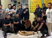 Polisi Gagalkan Transaksi Perdagangan Gading Gajah di Pidie