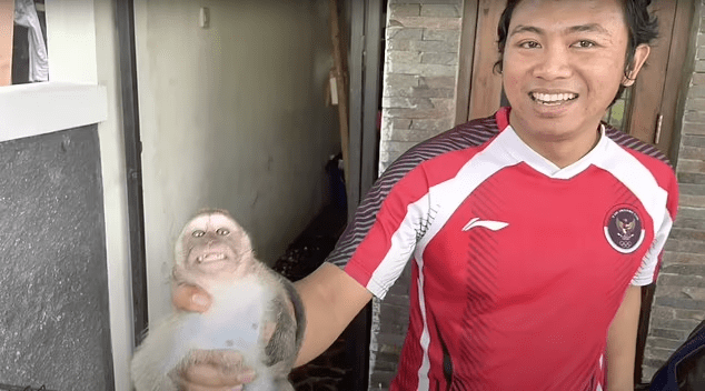 M Ajis Rasajana, salah satu orang Indonesia yang ditangkap karena kasus penyiksaan terhadap monyet ekor panjang. | Foto: Tangkapan layar BBC News Indonesia