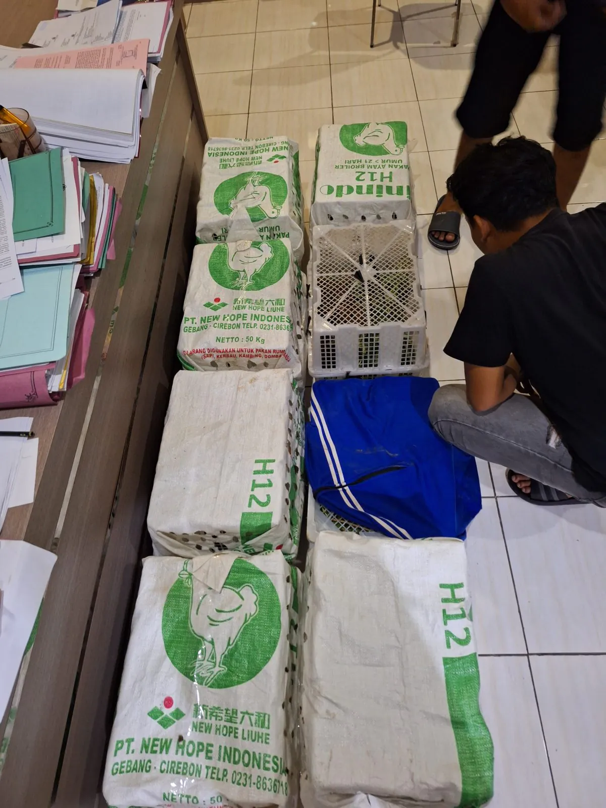 Puluhan kancil disimpan dalam boks plastik yang tertutup untuk diedarkan secara ilegal. | Foto: Istimewa