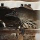 Ribuan Burung Selundupan Gagal Menyeberangi Selat Sunda