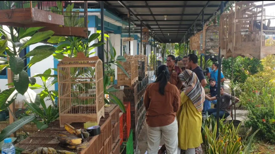 Ratusan burung milik KW yang diamankan petugas. | Foto: Dok. Gakkum LHK Wilayah Kalimantan