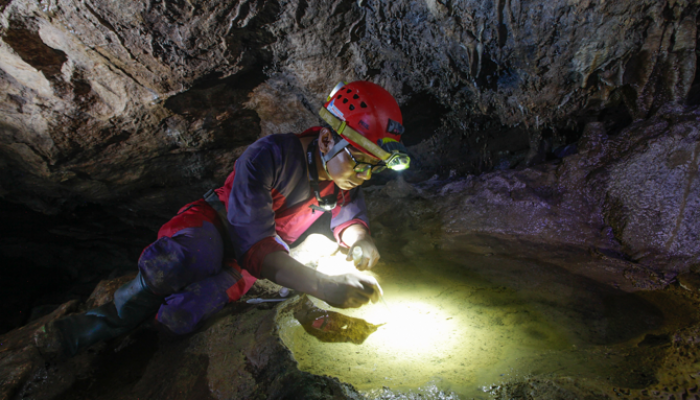 Meneliti Biota Gua, Memperkenalkan Kehidupan yang Tersembunyi kepada Dunia