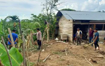 Suasana lokasi setelah dilintasi oleh kawanan gajah sumatra liar. | Sumber: NOA/HO-Warga