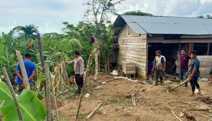 Kawanan Gajah Melintas di Jalur Jelajah, Rumah Warga Rusak