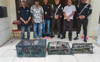 Barang bukti satwa liar. yang diamankan oleh tim gabungan di daerah Galaydubu, Maluku. | Sumber: BKSDA Maluku