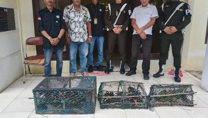 Tiga Sangkar Berisi 55 Burung Diangkut Petugas dari Rumah Warga